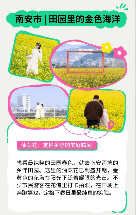 收藏！泉州春日賞花去哪里？花期+地址全攻略