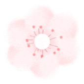 收藏！泉州春日賞花去哪里？花期+地址全攻略