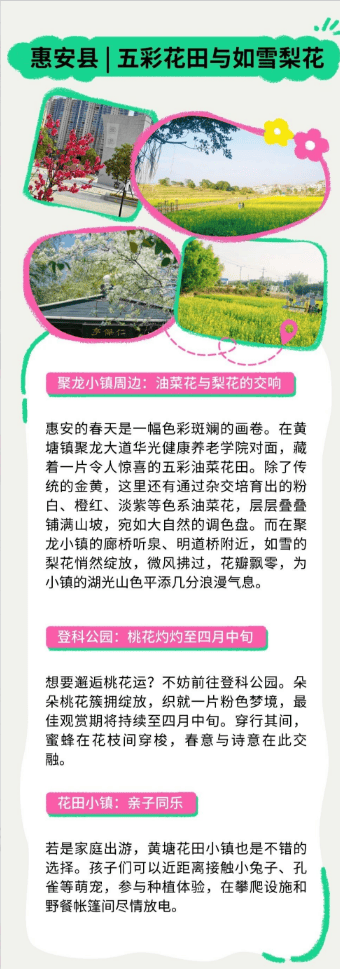 收藏！泉州春日賞花去哪里？花期+地址全攻略