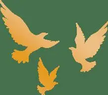 人民社黨總支召開樹立和踐行正確政績觀學(xué)習(xí)教育動(dòng)員大會(huì)