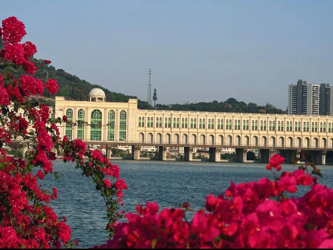 收藏！泉州春日賞花去哪里？花期+地址全攻略