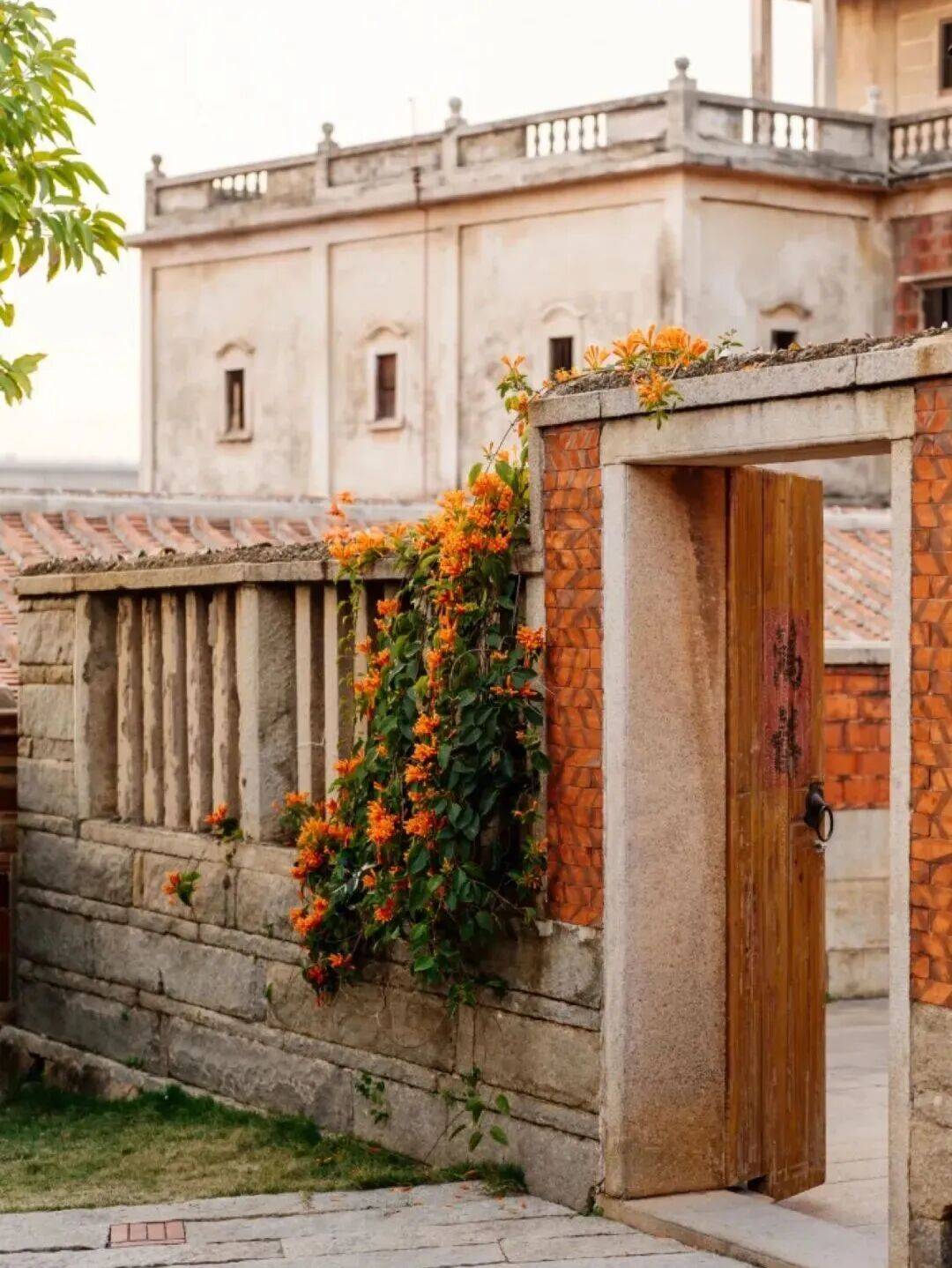 收藏！泉州春日賞花去哪里？花期+地址全攻略