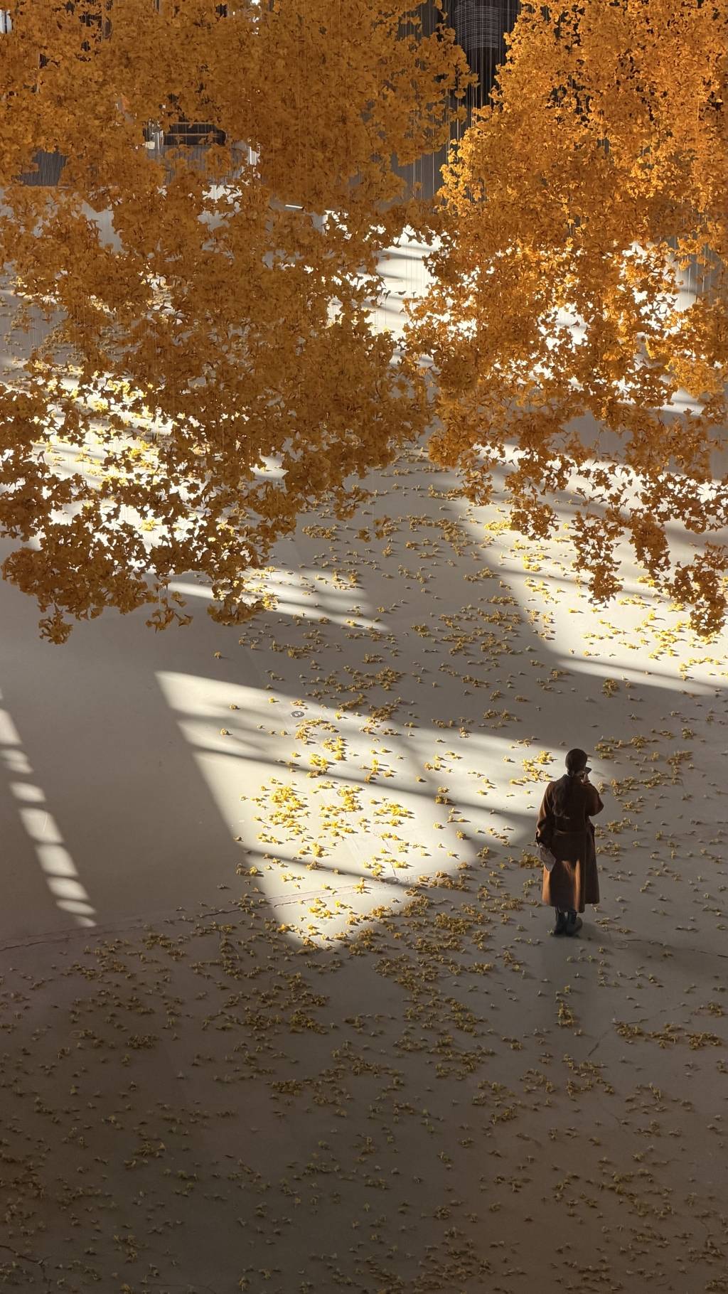 上海雙年展落幕前迎來觀展熱潮，女性藝術敘事令人矚目