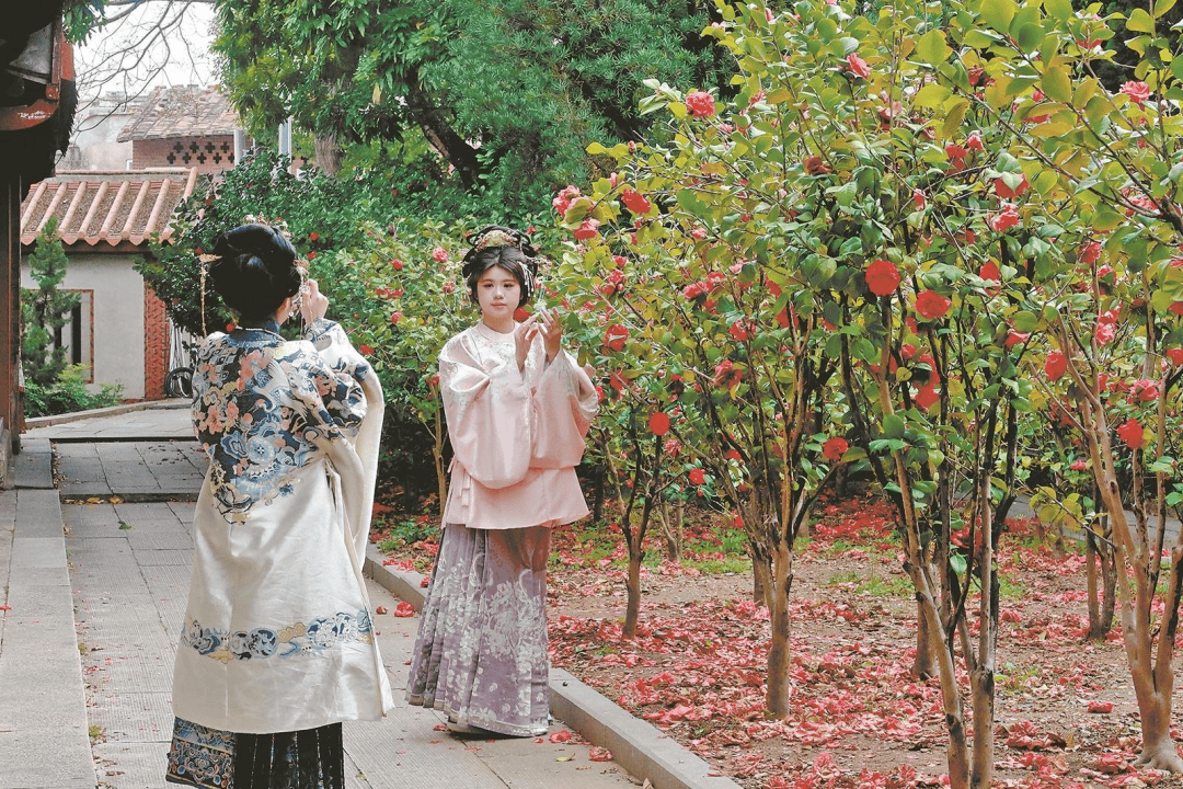 收藏！泉州春日賞花去哪里？花期+地址全攻略