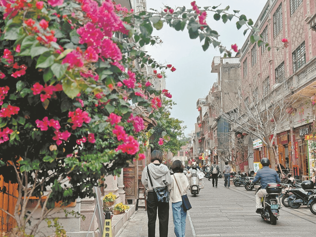 收藏！泉州春日賞花去哪里？花期+地址全攻略