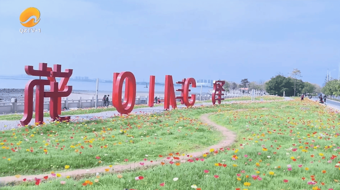 收藏！泉州春日賞花去哪里？花期+地址全攻略