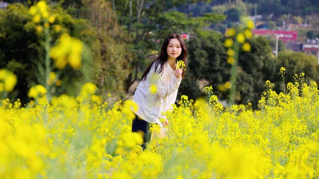 收藏！泉州春日賞花去哪里？花期+地址全攻略