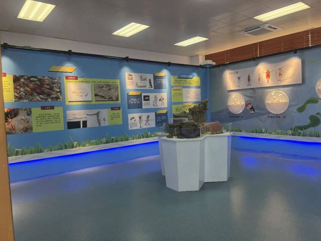 蘆苞水情教育基地開放，免費(fèi)打卡+互動(dòng)贏禮，趕緊收藏轉(zhuǎn)發(fā)