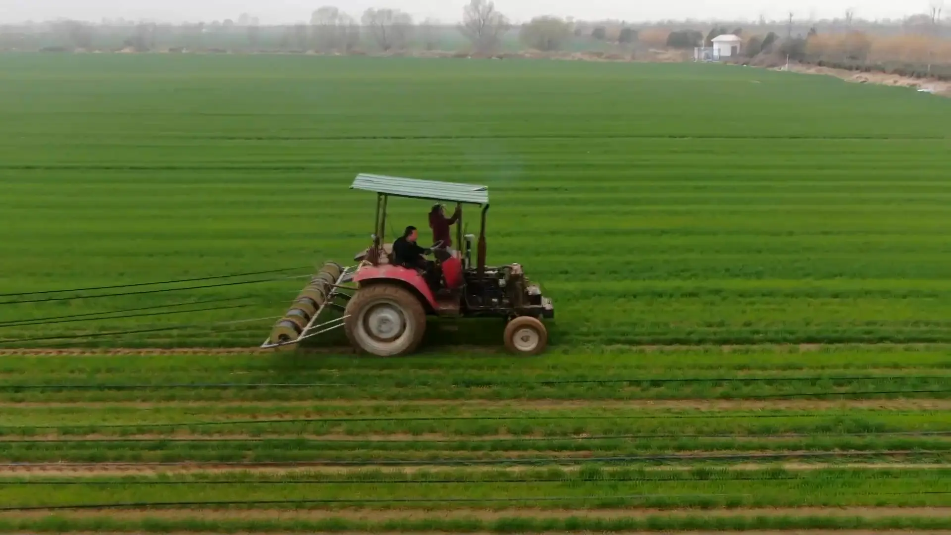 山西河津：科技賦能春管 沙地小麥“喝”上精準(zhǔn)營養(yǎng)水