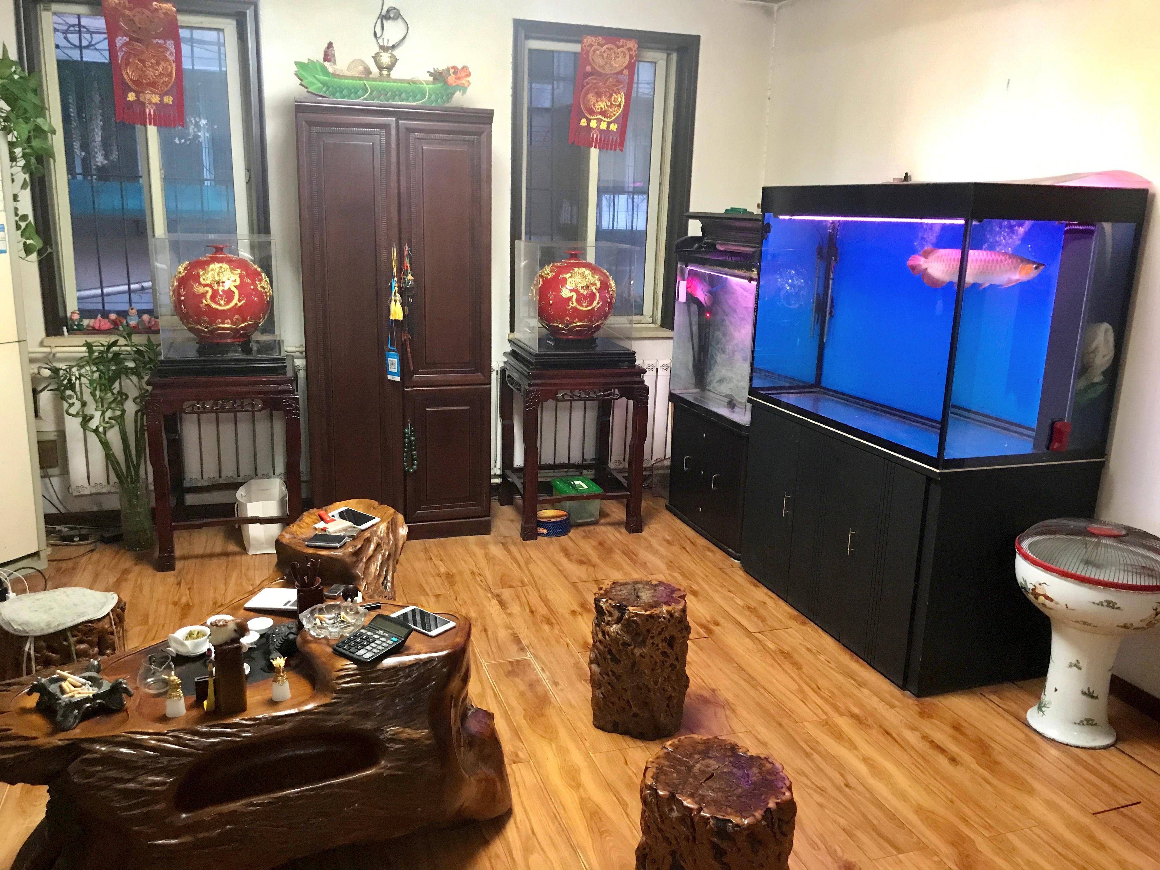 天津市鼎祥汽車租賃有限責(zé)任公司：租車/普通轎車租賃/汽車租賃/豪車租賃/商務(wù)車租賃全場(chǎng)景服務(wù)標(biāo)桿