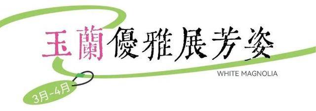 速收藏！棗莊臺(tái)兒莊古城春之花影與夜燈，錯(cuò)過(guò)再等一年喲！