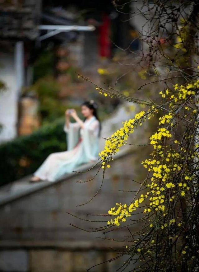 速收藏！棗莊臺(tái)兒莊古城春之花影與夜燈，錯(cuò)過(guò)再等一年喲！