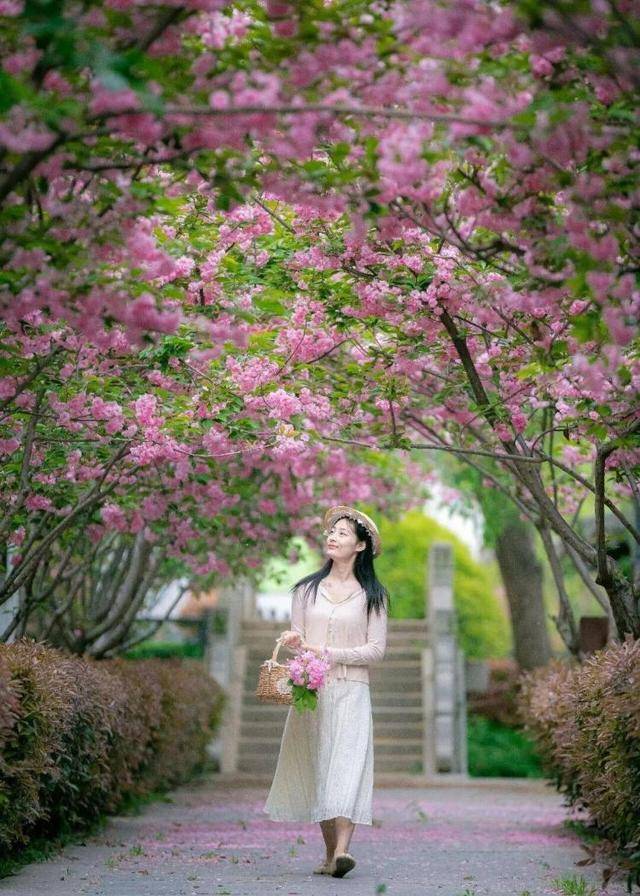 速收藏！棗莊臺(tái)兒莊古城春之花影與夜燈，錯(cuò)過(guò)再等一年喲！