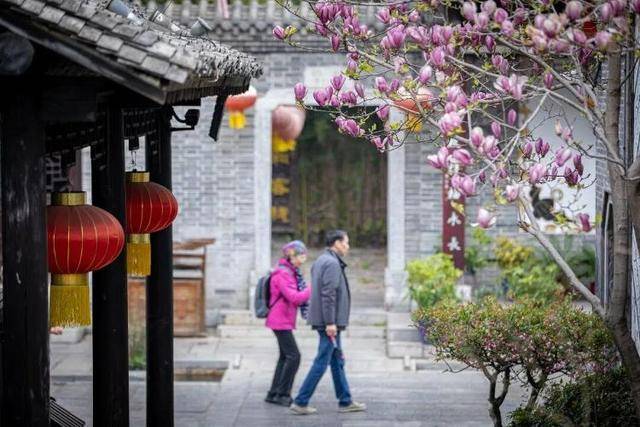 速收藏！棗莊臺(tái)兒莊古城春之花影與夜燈，錯(cuò)過(guò)再等一年喲！