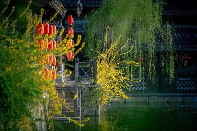 速收藏！棗莊臺(tái)兒莊古城春之花影與夜燈，錯(cuò)過(guò)再等一年喲！