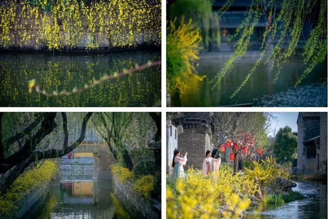 速收藏！棗莊臺(tái)兒莊古城春之花影與夜燈，錯(cuò)過(guò)再等一年喲！