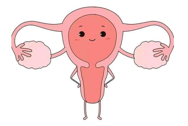 原創(chuàng)女性下腹疼痛別硬扛，小心盆腔炎，出現(xiàn)6類癥狀，及時(shí)就醫(yī)篩查