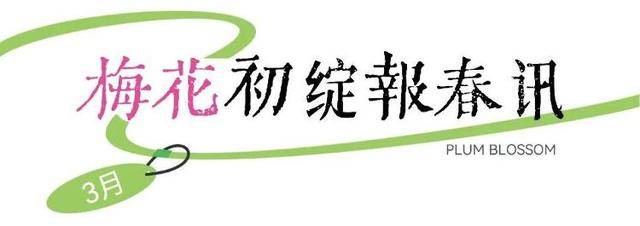 速收藏！棗莊臺(tái)兒莊古城春之花影與夜燈，錯(cuò)過(guò)再等一年喲！