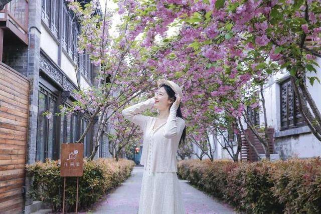 速收藏！棗莊臺(tái)兒莊古城春之花影與夜燈，錯(cuò)過(guò)再等一年喲！