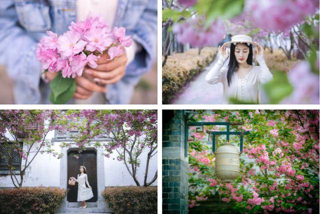 速收藏！棗莊臺(tái)兒莊古城春之花影與夜燈，錯(cuò)過(guò)再等一年喲！