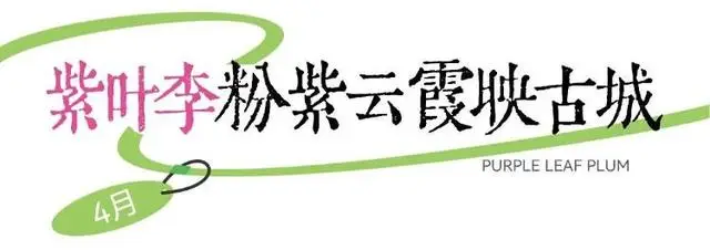 速收藏！棗莊臺(tái)兒莊古城春之花影與夜燈，錯(cuò)過(guò)再等一年喲！