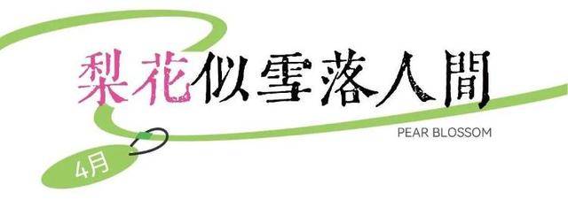 速收藏！棗莊臺(tái)兒莊古城春之花影與夜燈，錯(cuò)過(guò)再等一年喲！