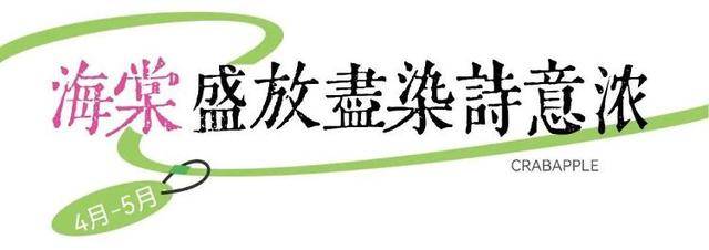 速收藏！棗莊臺(tái)兒莊古城春之花影與夜燈，錯(cuò)過(guò)再等一年喲！