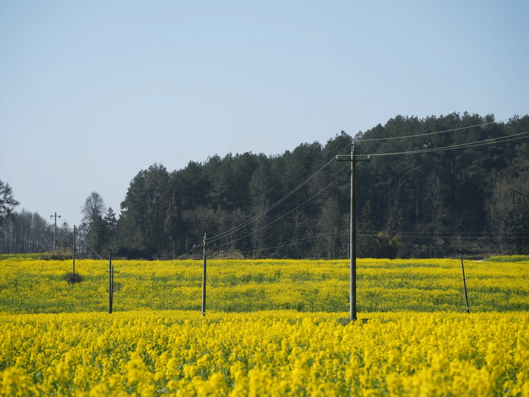 “黃金?！崩镅簿€忙 護航旅游保電安