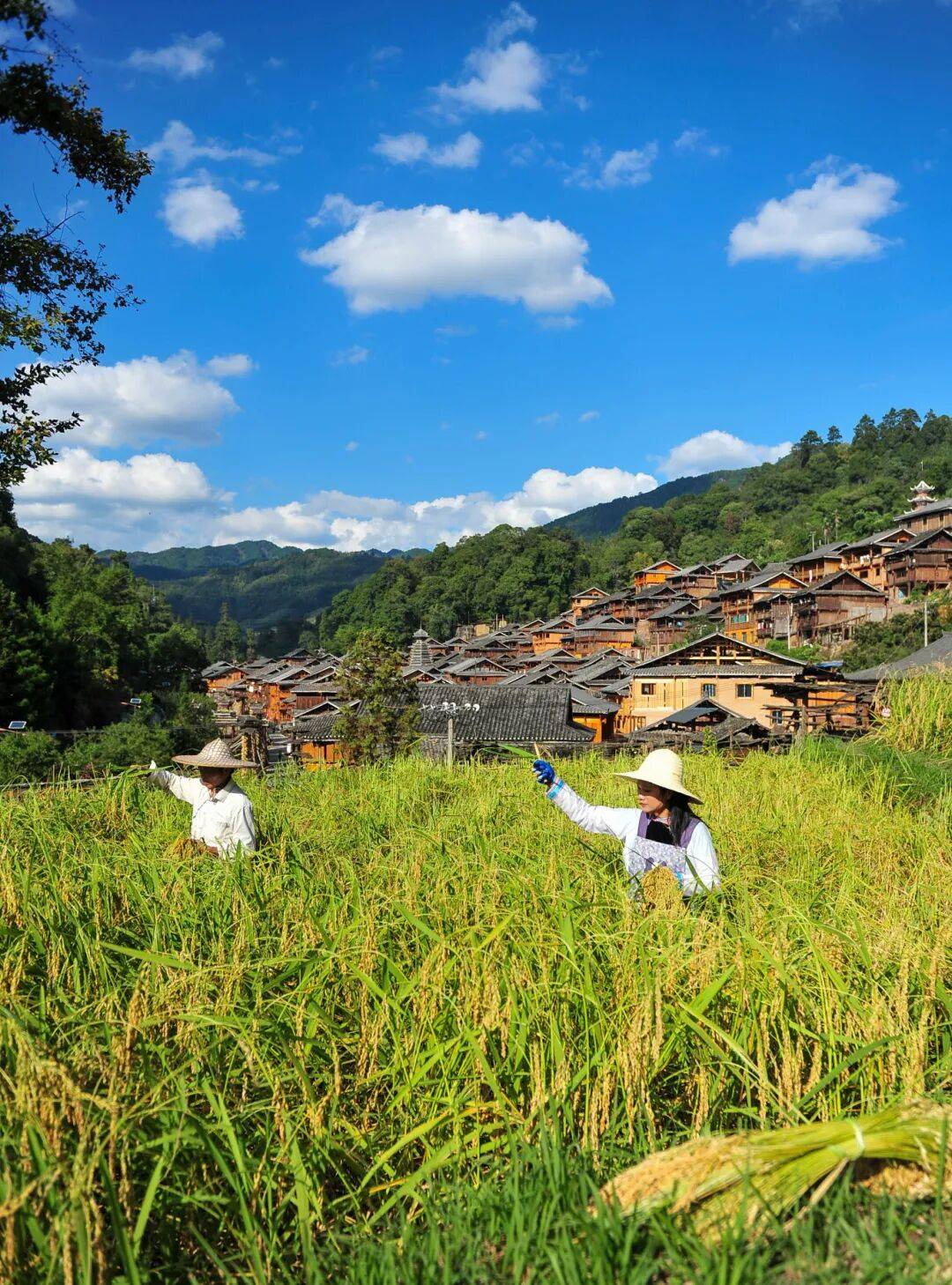 雕刻于喀斯特天地間的貴州村落（上）