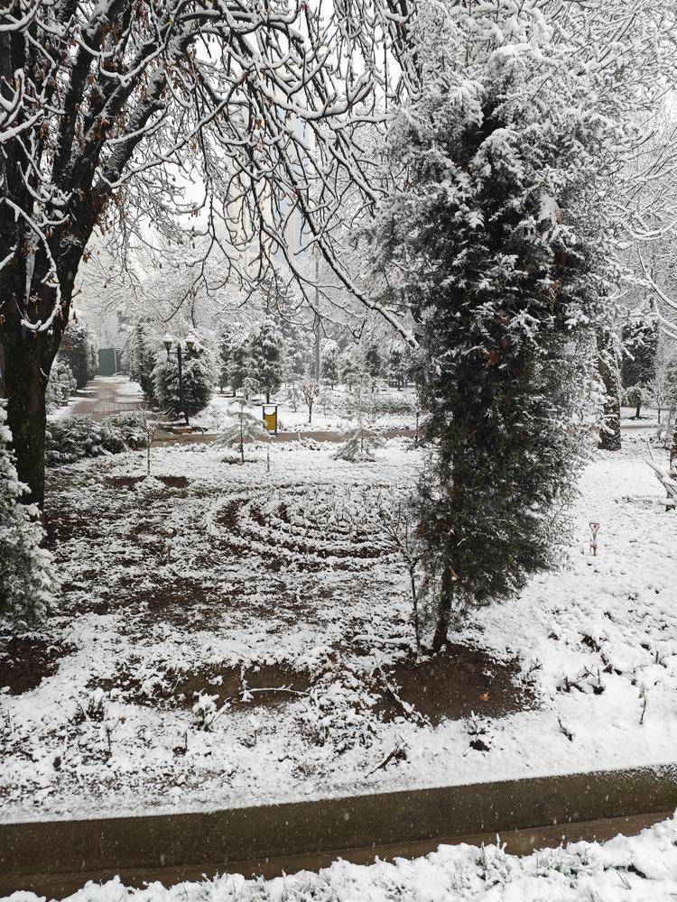 塔吉克斯坦留學(xué)“闖關(guān)”記：熟悉又陌生的國度|小眾留學(xué)也精彩53