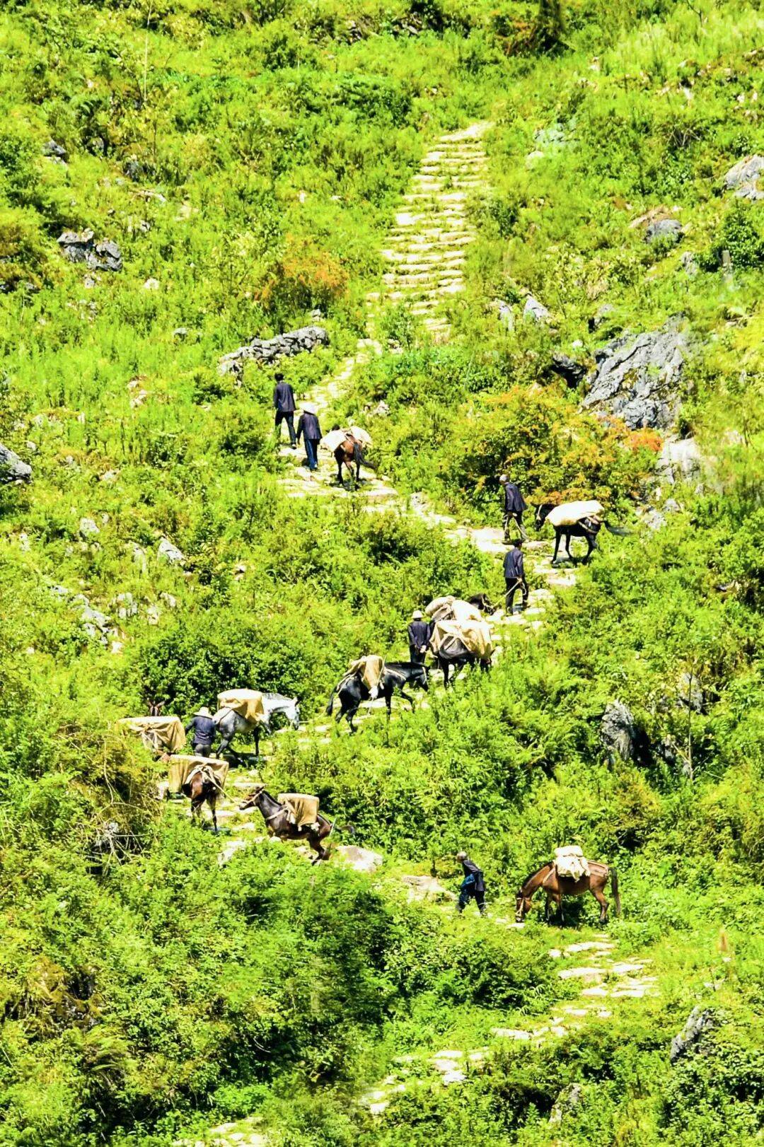 雕刻于喀斯特天地間的貴州村落（中）
