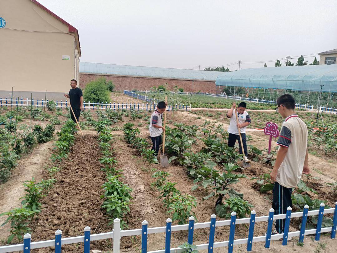 沾化區(qū)下洼鎮(zhèn)第一小學(xué)以“小切口”做實(shí)立德樹人“大文章”