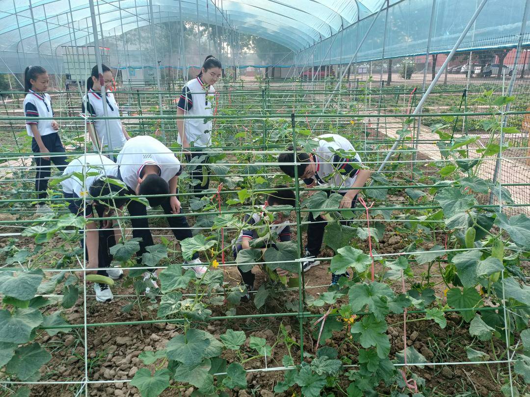 沾化區(qū)下洼鎮(zhèn)第一小學(xué)以“小切口”做實(shí)立德樹人“大文章”