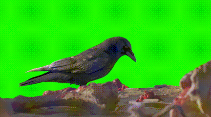 男二以下演員不用真人？AI正悄悄重塑影視行業(yè)