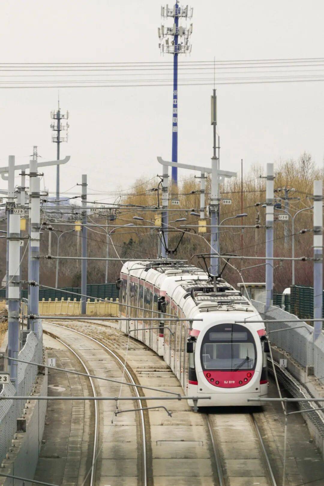 收藏！北京這個三月乘著“最美西郊線”穿越花海，最佳乘車時間和路線——