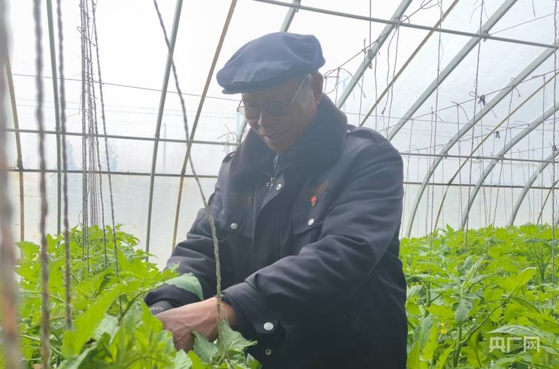 寧夏銀川：常態(tài)化幫扶精準(zhǔn)發(fā)力 移民鄉(xiāng)村繪就增收致富新圖景