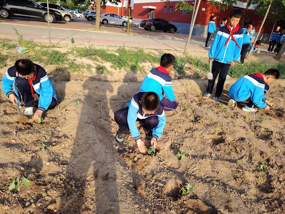 沾化區(qū)下洼鎮(zhèn)第一小學(xué)以“小切口”做實(shí)立德樹人“大文章”