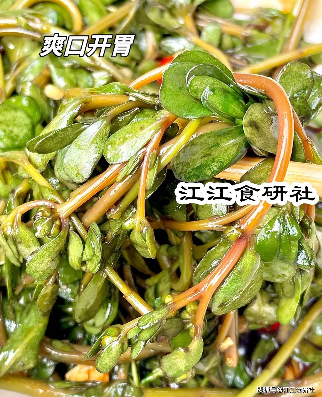 原創(chuàng)春季，少吃油炸食品！多吃這3樣“涼血降火菜”，建議收藏！