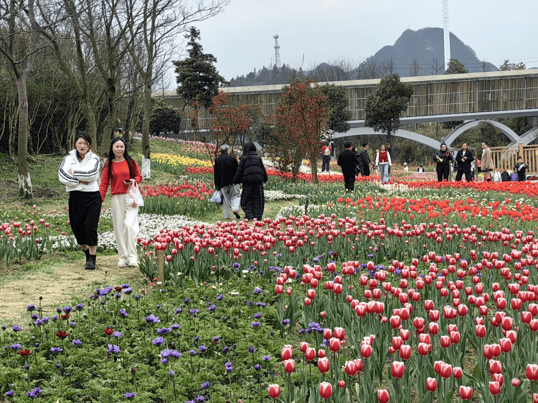 春假來烏當(dāng)：在詩意棲息地看花賞景品美食……