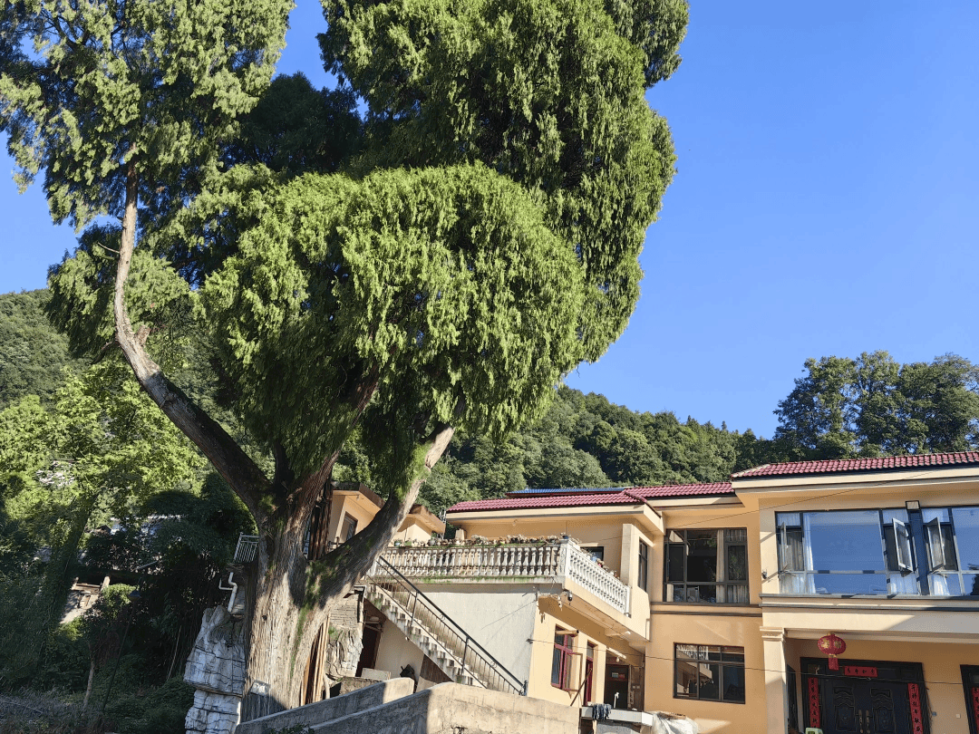 春假來烏當(dāng)：在詩意棲息地看花賞景品美食……