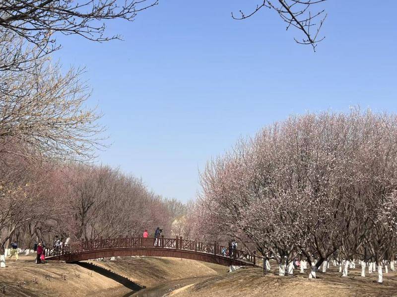 多地春假與清明假期疊加 旅游市場(chǎng)出現(xiàn)兩股出游高峰