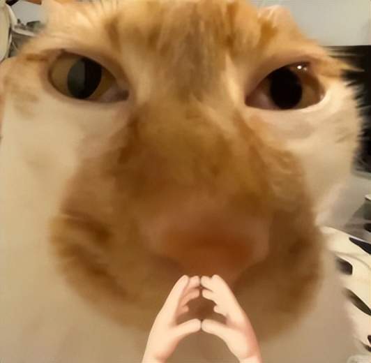 網(wǎng)易玩家集體搬家？渠道服vs官服，看完再也不踩坑