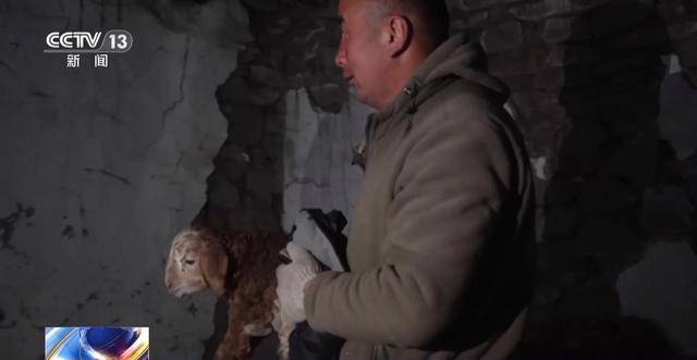 20萬余頭牛羊“搬家”進(jìn)行中 阿勒泰春季轉(zhuǎn)場(chǎng)有多壯觀