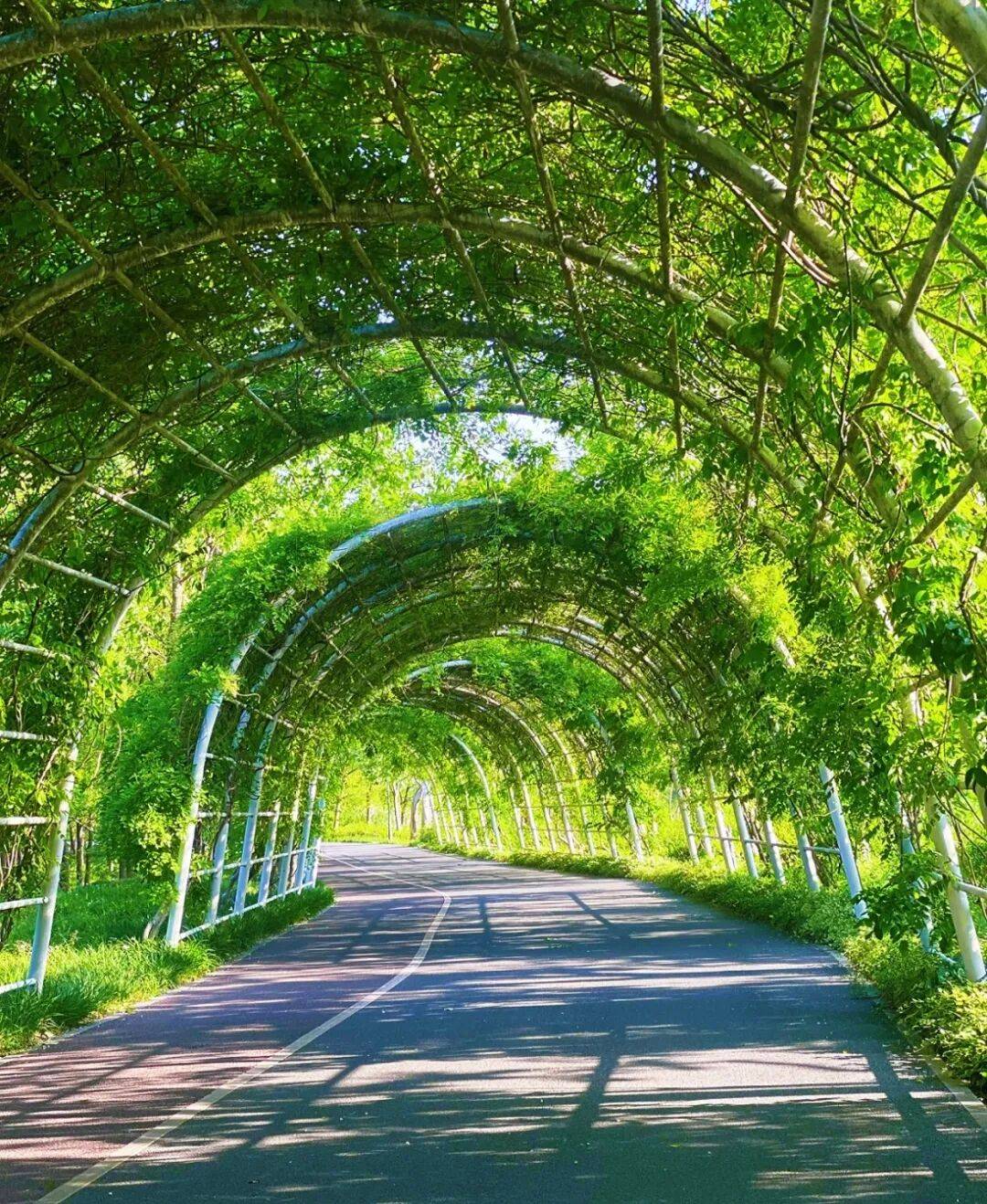 3條絕美騎行線，收藏春日上海！