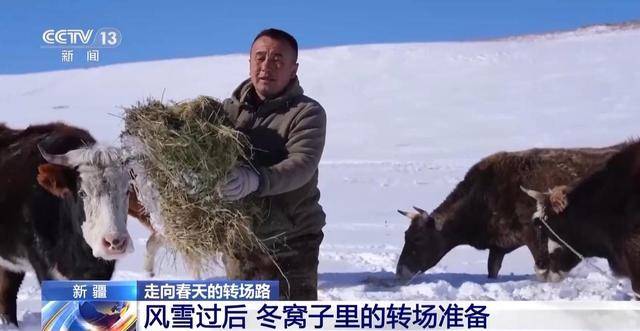 20萬余頭牛羊“搬家”進(jìn)行中 阿勒泰春季轉(zhuǎn)場(chǎng)有多壯觀