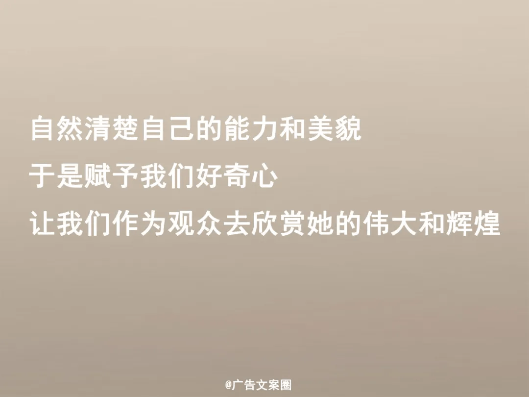 思辨作文必讀好素材！精選33句博物館里找到的「滿分金句」，用作分論點超贊！