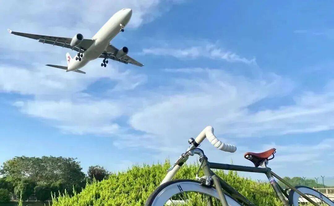 3條絕美騎行線，收藏春日上海！