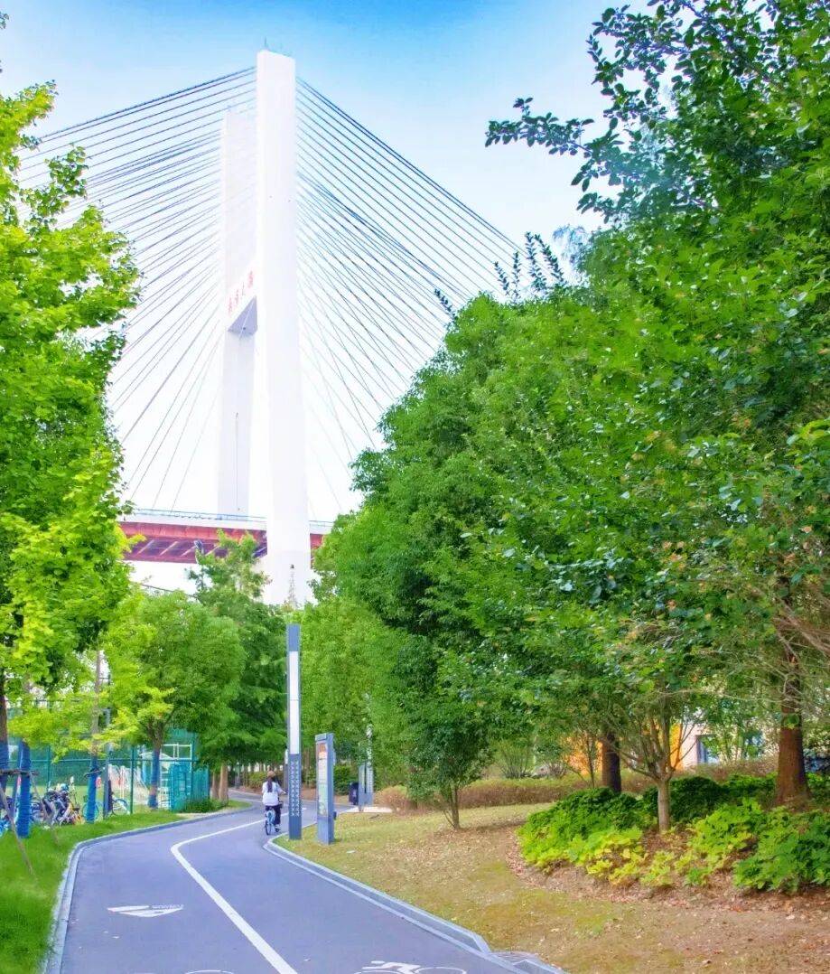 3條絕美騎行線，收藏春日上海！