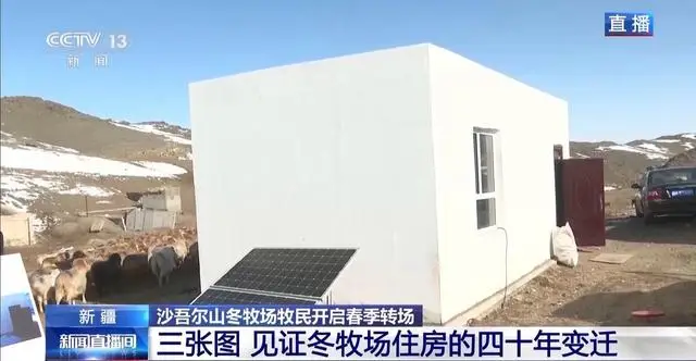 20萬余頭牛羊“搬家”進(jìn)行中 阿勒泰春季轉(zhuǎn)場(chǎng)有多壯觀