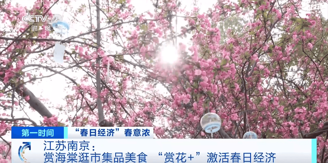 賞海棠逛市集品美食！江蘇南京“賞花+”激活春日經(jīng)濟(jì)